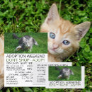 Recherche de adoption cartes visite Animaux