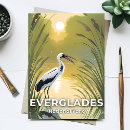 Recherche de cigognes cartes postales Parc