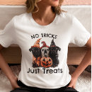 Recherche de friandise tshirts Chien