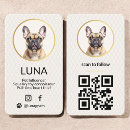 Recherche de dog cartes visite Influence sur les animaux