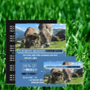Recherche de vache cartes visite Ferme