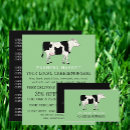 Recherche de vache laitière cartes visite Ferme