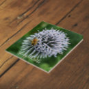 Recherche de abeille miel carreaux Insecte