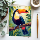 Recherche de toucan cartes postales Amérique du sud