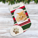 Recherche de chat chaussette de noël Cats