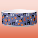 Recherche de halloween chat articles Chaton