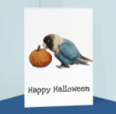 Recherche de dessin d cartes postales Oiseau
