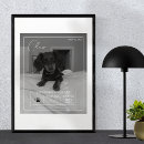Recherche de animaux portraits Empreinte de patte