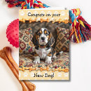 Recherche de basset hound vœux cartes Félicitations