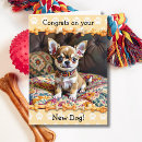 Zoek naar honden felicitatiekaarten Gefeliciteerd