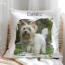 Recherche de photo pet coussins Amoureux des chiens