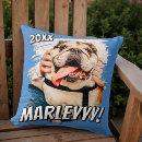 Recherche de chiots coussins Pour tous