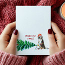 Recherche de bernese mountain dog christmas vœux cartes Vacances