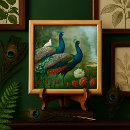 Zoek naar pauwen tegels Blauw