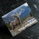Recherche de montagnes rocheuses cartes postales Colorado