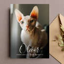 Recherche de mémorial chat vœux cartes Dans la mémoire aimante