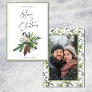 Recherche de oiseau noël cartes De photo