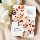 Recherche de pet memorial magnets Mémorial des animaux