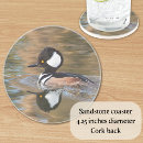 Recherche de mâle dessous de verres Canard