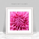 Recherche de fleurs de dahlia posters Décoration fleurie