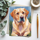 Recherche de labrador jaune cartes postales Chien
