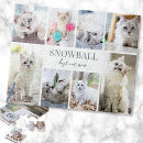 Zoek naar katten puzzels Maak je eigen