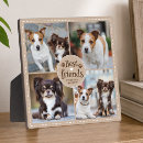 Recherche de empreintes pattes plaques Dogs