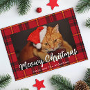 Recherche de felines vœux cartes Cats