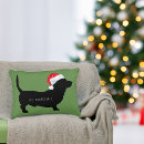 Recherche de petits chiens coussins Dachshund