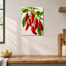 Recherche de piment posters Légume