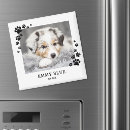 Recherche de chiens et chats magnets Pour animaux