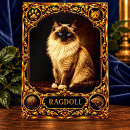 Recherche de de chaton cartes postales Pour amateur de chats