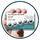 Recherche de toilettage canin cartes visite Animaux de compagnie