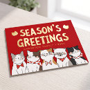 Recherche de drôle chat cartes postales Salutation