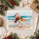 Recherche de bécasseaux cartes postales Plage