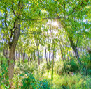 Recherche de lumineux carnets D'esquisses