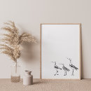 Recherche de ornithologie posters Oiseaux