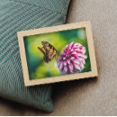Zoek naar tuin vlinder posters Bloem