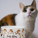 Recherche de chat de gingembre maison deco Pour animaux