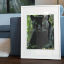 Zoek naar groene ogen posters Kat