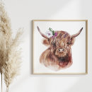 Recherche de vache à illustration Écossais