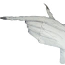 Recherche de monstres drôles tshirts Pour elle