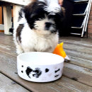 Recherche de shih tzu tissu Coeur