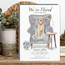 Recherche de labrador retriever invitations Nouvelle maison