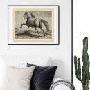 Recherche de équestre posters Amoureux du cheval
