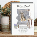 Recherche de brittany cartes postales Chien