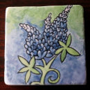 Recherche de texas bluebonnet Aquarelle