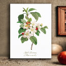 Zoek naar vintage botanisch briefkaarten Natuur