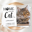 Recherche de photo de chat cartes postales Pour tous