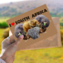 Recherche de afrique du sud cartes postales Faune